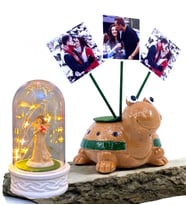 Kişiye Özel Hediye Seti 3 Fotoğraflı Sevimli Kaplumbağa ve Led Işıklı Fanus (Model 7)