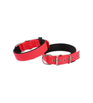 Actirex Neon Yumuşak Doku Köpek Boyun Tasma Red Medium 1,5cmx38cm (Kırmızı)