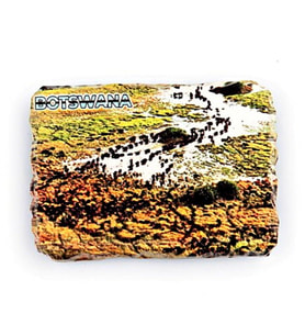 Botsvana Bufalo Temalı Kırık Magnet (Karışık)