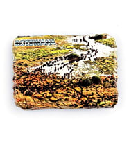 Botsvana Bufalo Temalı Kırık Magnet (Karışık)