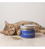 Doğal Kedi Nanesi (Catnip) - 250 ml Kavanoz - Eğlenceli ve Doğal