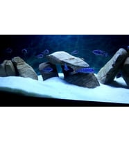 Beyaz Kristal Kum( 2 - 3 mm ) 1 kg