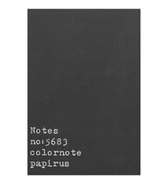 PAPİRÜS NOTES TERZİ DİKİŞ KARTON KAPAK 16X23 56YP. ÇİZGİSİZ DEFTER