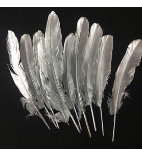 10ADET METALİK PARLAK GÜMÜŞ KUŞ TÜYÜ GÜMÜŞ KUŞ TÜYÜ DECORSİLVER BIRD FEATHER GÜMÜŞ ŞEFFAF BALON TÜYÜ