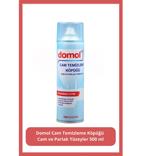 Cam Temizleme Köpüğü Cam ve Parlak Yüzeyler, 500 ml