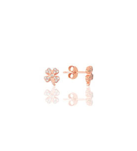 Gümüş rose şansın ışıltısı yonca küpe SGTL12627ROSE