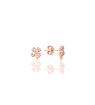 Gümüş rose şansın ışıltısı yonca küpe SGTL12627ROSE