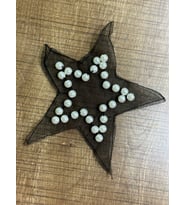 9X9 CM TÜL İNCİ BONCUKLU YILDIZ ARMA APOLET YAMA DİKİŞ APLİKE