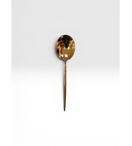 Avcı Amore Titanyum Gold Renk Sos Kaşığı