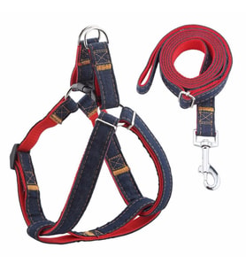 ANS 2116 Kot Desenli Gezdirmeli 10-15Kg Köpek Göğüs Tasması 2cm (Kırmızı)