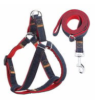 ANS 2116 Kot Desenli Gezdirmeli 10-15Kg Köpek Göğüs Tasması 2cm (Kırmızı)