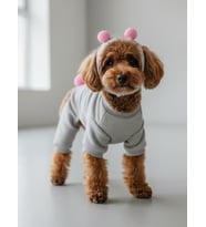 Ponpon Şeker Köpek Tulumu & Bere Takımı  Şardonlu Polar Kumaş  Küçük Irk Köpekler İçin  Tüy Dökülmesini Azaltır