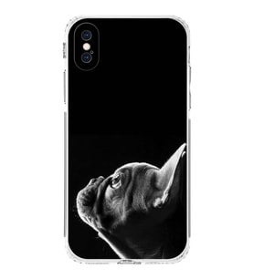 PrintiFy iPhone XS Max ile Uyumlu Köpek 1 Kamera Korumalı Şeffaf Kılıf