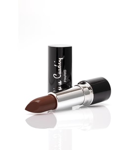 Pierre Cardin Porcelain Matte Edition Lipstick - Beige - 206 (Karışık)