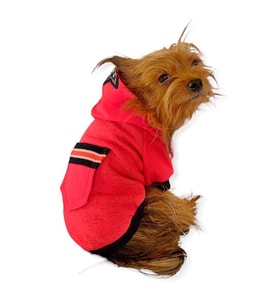 Pink Stars Kapşonlu Sweatshirt Köpek Kıyafeti 
