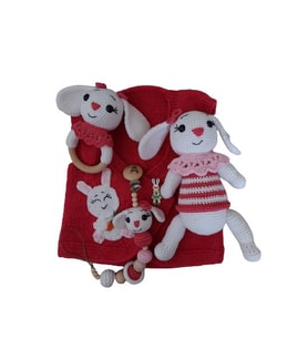 Yeni Doğan Sevimli Tavşan Seti 4 Parça Amigurumi Organik Oyuncak