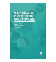 Örgüt Kuramları Perspektifinden Örgüt Stratejileri