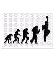 Evolution of Shoryuken Street Fighter Puzzle 240 Parça Yapboz