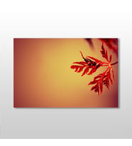 Kızıl Yaprak Kanvas Tablo 150x100cm (Karışık)