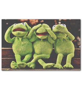 Cakatablo Kurbağa Kermit Görmedim Duymadım Bilmiyorum MDF Tablo