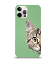 Apple iPhone 12 Pro Uyumlu Lansman Kılıf Catface Tasarımlı Altı Kapalı İçi Kadife Kaplı  Kapak (Şeffaf)