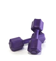 Ecgspor 2.5 KG MOR Dambıl Seti 2.5 KG x 2 Toplam 5 KG Ağırlık Seti