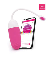 Telefon Kontrollü Vini Vibratör