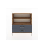 Arges Şifonyer 2 Raflı 2 Çekmeceli 88x30x96 Çam-Antrasit