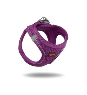 Tailpetz Air Mesh Köpek Göğüs Tasması 3XSmall 24-28 cm Mor