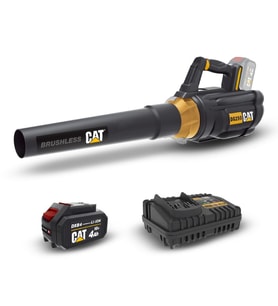 CAT DG250 18Volt 4.0Ah. Li-ion Tek Akülü Devir Ayarlı Profesyonel Yaprak Üfleme