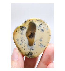 Krem & Amber Dendritic Opal - Merlinite Dilim Merkezdeki Kalsedon ile, 40g