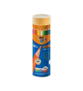 Bic Evolution Metal Tüp Kuru Boya Kalemi 36'lı