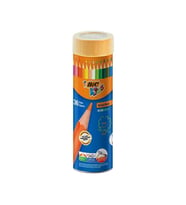 Bic Evolution Metal Tüp Kuru Boya Kalemi 36'lı