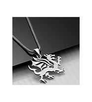 925 Ayar Gümüş Ejderha Erkek Kolye