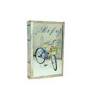 Kutu Kitap Aynalı Bisiklet Dekoratif Hediyelik (Siyah)