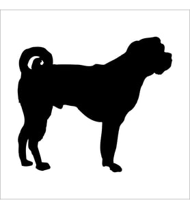 KÖPEK FOLYO STİCKER DERSTV877 160cm Uzunluk (Karışık)