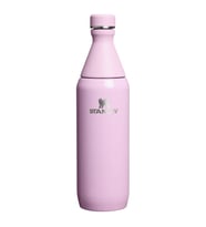 Stanley The All Day Slim Soğuk Su Şişesi 0,60 LT - Cherry Blossom (Pembe)