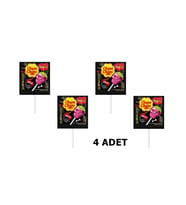Chupa Chups Skull Çilek - Misket Limon Aromalı Lolipop Şeker 15 g x 4 ADET