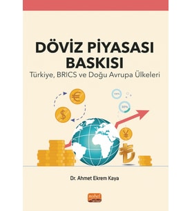 DÖVİZ PİYASASI BASKISI - Türkiye, BRICS ve Doğu Avrupa Ülkeleri
