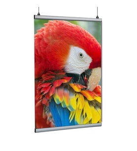 Poster Tutucu Clamp 70cm 2li Paket