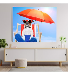 Güneşlenen Köpek Temalı Kanvas Tablo
