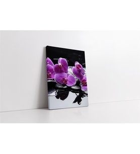 Spa Taşları ve Orkide (A.ALTIN)