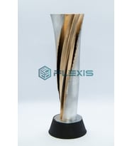 F1 FORMULA 1 TÜRKİYE KUPASI 20 CM GOLD GÜMÜŞ KAPLAMA