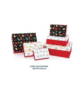 GIPTA FESTA DİKDÖRTGEN HEDİYE KUTUSU BX2701 E NO:5 230x315x125 mm - TEKLİ (Çok Renkli)