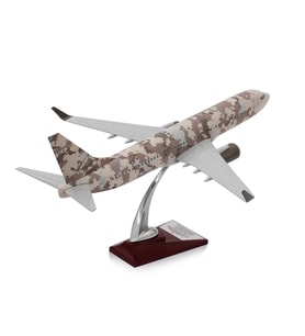 Zekupp - Maket Uçak - Boeing 737-800 1/100 - ASKERİ KAMUFLAJ ÖZEL TASARIM Model Uçak