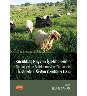Küçükbaş Hayvan İşletmelerinin Tipolojilerinin Belirlenmesi ve Tipolojinin İşletmelerin Üretim Etkinliğine Etkisi