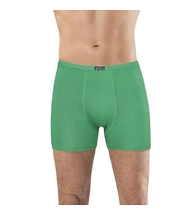 ERKEK BAMBU BOXER YEŞİL 1273
