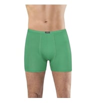 ERKEK BAMBU BOXER YEŞİL 1273