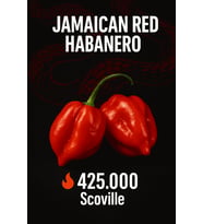 JAMAICAN RED HABANERO / 425.000 Scoville - Gerçek Taze Acı Biber