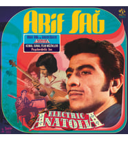 Arif Sağ, Zafer Dilek - Electric Anatolia - Plak